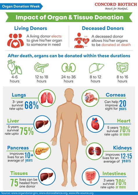 Infographics showing the process of organ donation