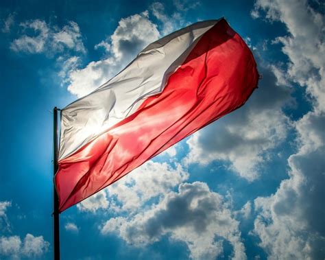 Logo Surge Polonia na tle polskiej flagi