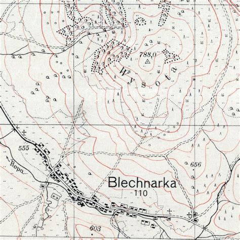 Fragment mapy Wojskowego Instytutu Geograficznego z 1930 roku