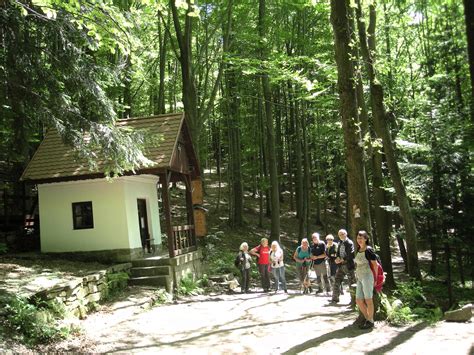 Fotografia bosaka aluminiowego z detalami trzonka i haka