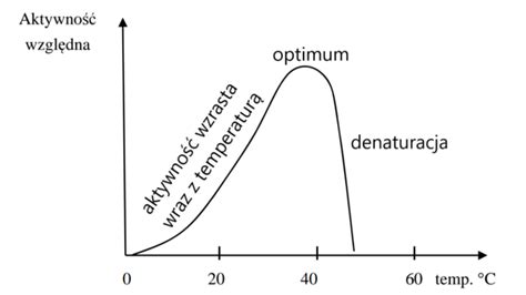 schemat przedstawiający czynniki wpływające na rozwój pożaru: temperatura, tlen, paliwo, czas
