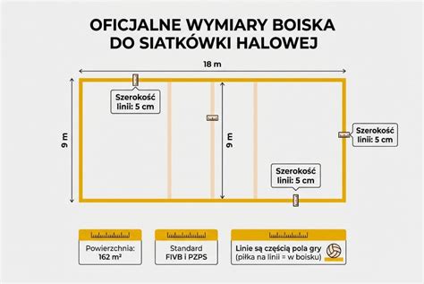 Infografika przedstawiająca wymiary etui OSP i rozmieszczenie przegródek.