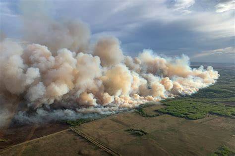 Thematic photo of a large wildfire in a forest near the Adriatic coast in Croatia, with smoke plumes visible.