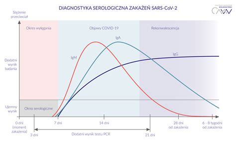schemat przedstawiający poziomy przeciwciał IgM i IgG w przebiegu zakażenia VZV