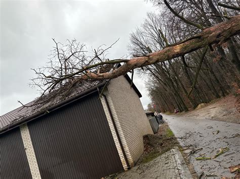 Thematyczne zdjęcie drzew powalonych przez silny wiatr w przestrzeni miejskiej