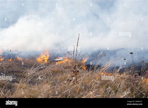 Thematic photo of dry grass burning with smoke, firefighters visible in the background