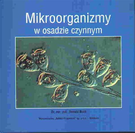 zdjęcie zniszczonej przez wilgoć i mikroorganizmy książki