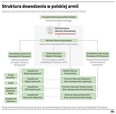 Infografika przedstawiająca strukturę zarządu OSP z podziałem funkcji