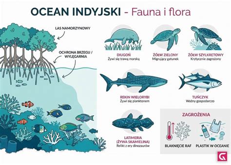 Infografika przedstawiająca główne elementy układu wodno-pianowego