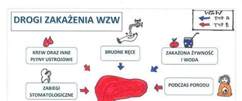 infografika przedstawiająca drogi zakażenia ospą wietrzną