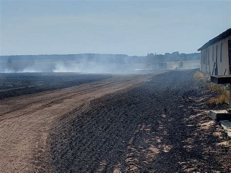 Zdjęcie z miejsca pożaru po jego ugaszeniu, przedstawiające ogrodzony teren i zgliszcza