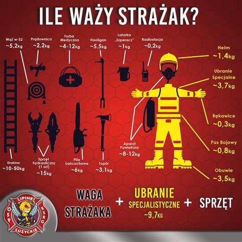 infografika, struktura OSP