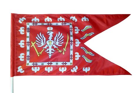 historyczna flaga OUN, symbol tryzuba