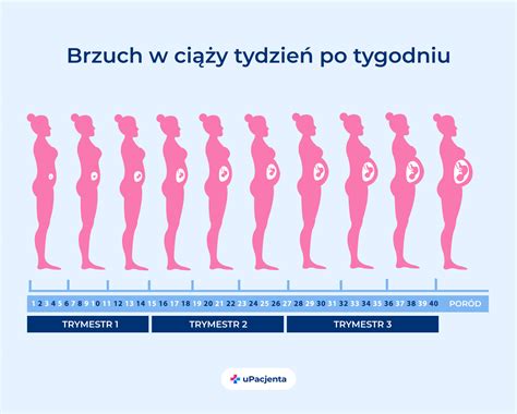 schemat przedstawiający wpływ ospy wietrznej w różnych trymestrach ciąży na płód