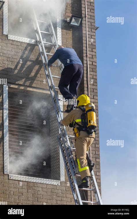 Thematic photo of firefighters using a ladder during a rescue operation.