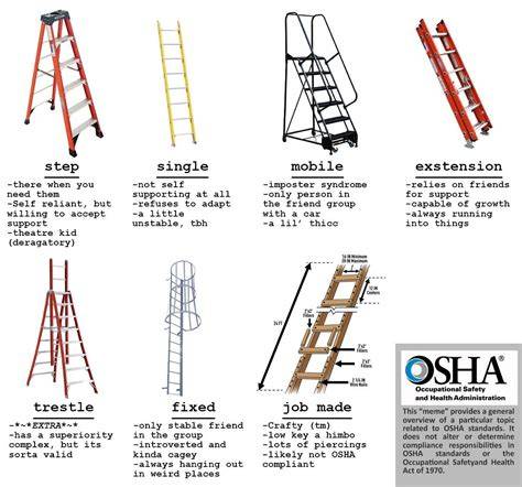 Infographic showing different types of manual fire ladders and their features.
