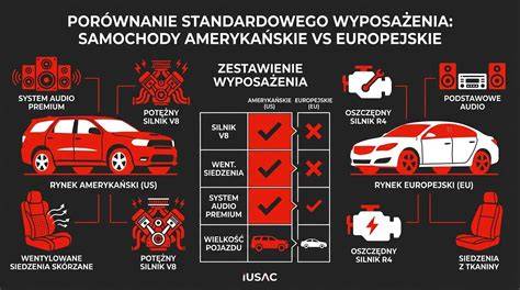 Szczegółowa infografika przedstawiająca wyposażenie roty asekuracyjnej