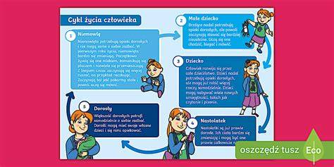 Infografika: cykl działania systemu SSP od wykrycia do powiadomienia i akcji
