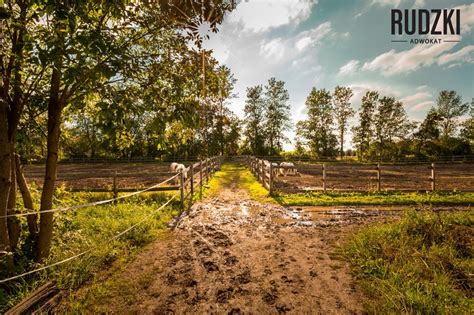 grafika symbolizująca spór graniczny lub kwestie służebności gruntowej