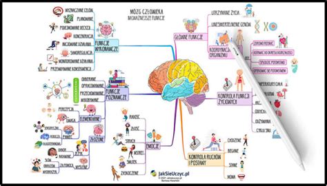 Infografika przedstawiająca dwie główne funkcje komina