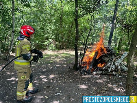 Strażak Franek, Puszek i smok Zyg-Zag gaszą ognisko w lesie