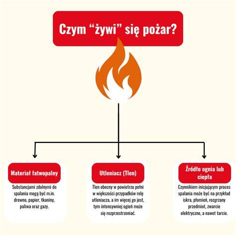 infografika przedstawiająca schemat możliwych przyczyn pożarów w obiektach przemysłowych