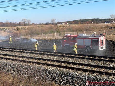 Strażacy gaszący pożar trawy przy torach kolejowych
