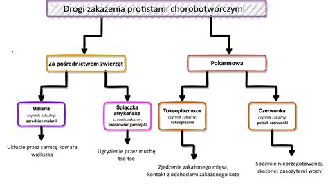 schemat przedstawiający motywy podpaleń przez strażaków