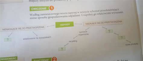 Schemat przedstawiający różne opcje prowadzenia księgowości w OSP