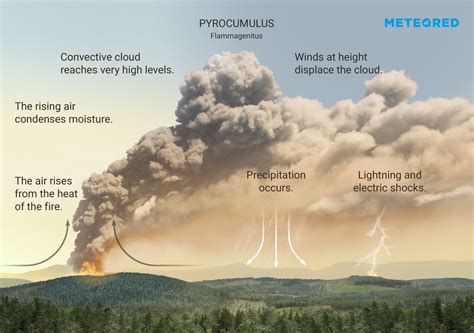 Zgierski cumulus flammagenitus widoczny z północy Łodzi w pierwszy poranek po nocnym wybuchu pożaru