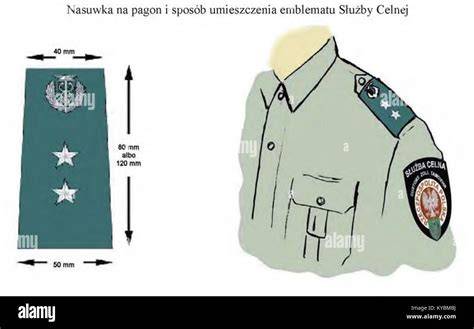 Infographic or scheme illustrating the correct placement of barettes on a uniform.