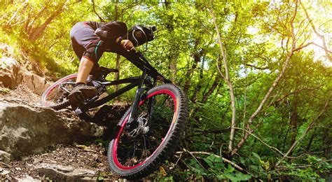 zdjęcie toru kolarskiego MTB w Antoninie