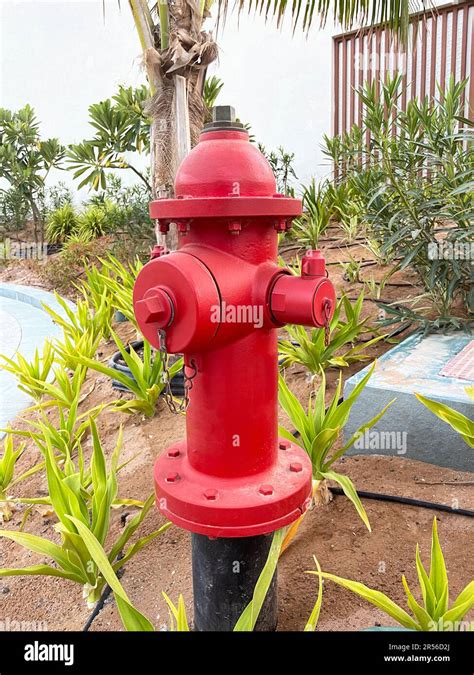 Thematic photo of a red fire hydrant