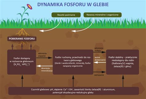 schemat pożaru fosforu w zakładach chemicznych z zaznaczeniem lokalizacji beczki i obszaru skażenia