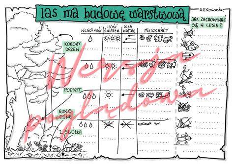 infografika przedstawiająca budowę warstwową ubrania specjalnego i rolę poszczególnych membran