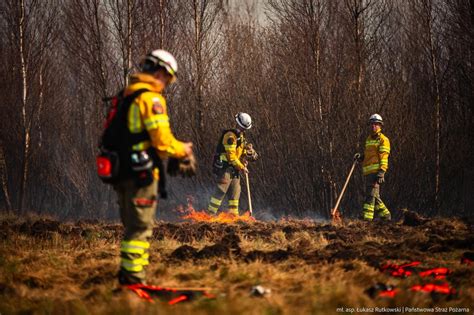 zdjęcia strażaków walczących z płomieniami w trudnych warunkach, z widocznym dymem i ogniem