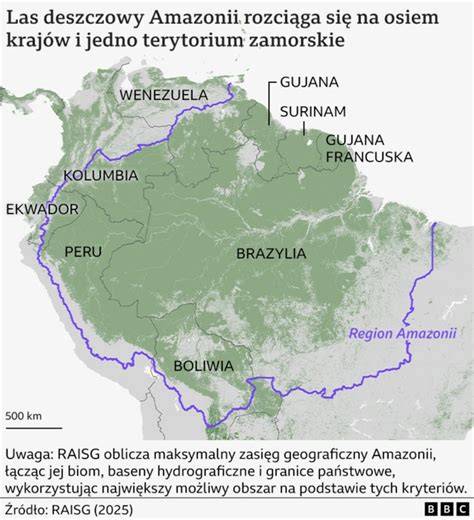 Mapa przedstawiająca zasięg lasów deszczowych Amazonii oraz główne obszary dotknięte pożarami w 2019 roku