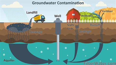 Infographic or schematic diagram illustrating bacterial contamination of water