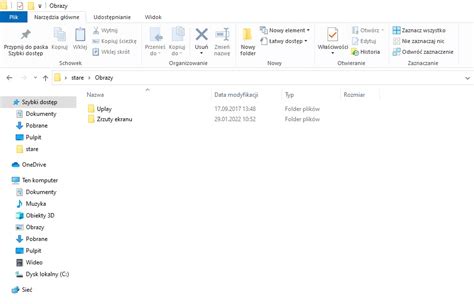 Zrzut ekranu przedstawiający interfejs systemu e-Urząd Skarbowy z zaznaczoną opcją wyboru formularza NIP-2.