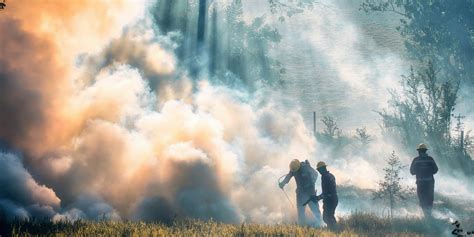zdjęcie przedstawiające strażaków walczących z pożarem lasu