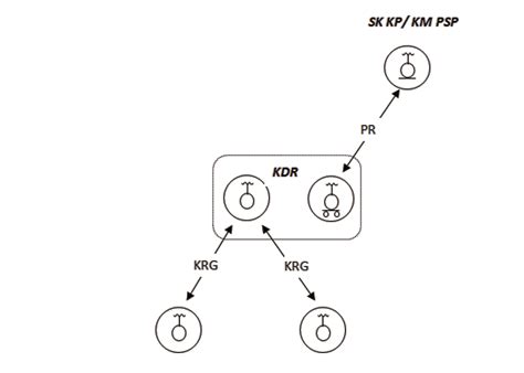 Uproszczony schemat błędnie zorganizowanej łączności dla kierowania interwencyjnego