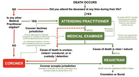 Infographic showing the flow of OSP medical examinations from referral to certificate issuance.