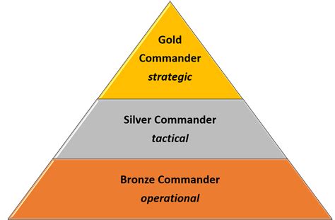 Infographic showing the structure of OSP command and training paths