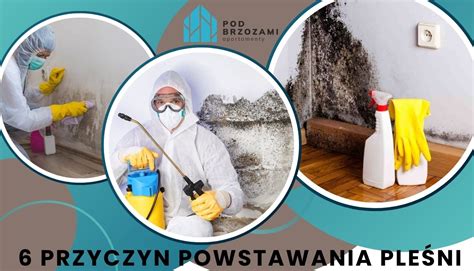 Schemat przedstawiający typowe miejsca powstawania pleśni w pomieszczeniu