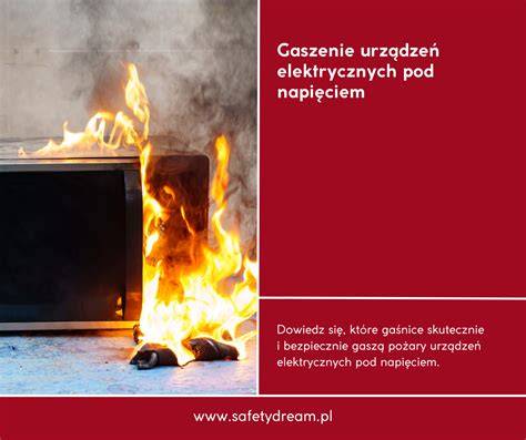 Infografika przedstawiająca najczęstsze przyczyny pożaru samochodu: zwarcia elektryczne, wycieki płynów eksploatacyjnych oraz czynniki zewnętrzne