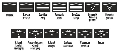 Grafika przedstawiająca dystynkcje funkcyjne OSP