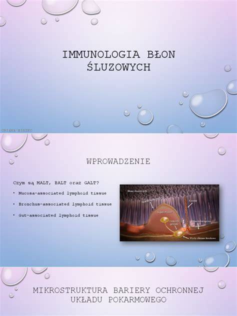 infografika przedstawiająca formy ospy gołębi: skórną i błon śluzowych oraz drogi transmisji wirusa