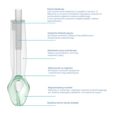 schemat przedstawiający budowę maski krtaniowej IGEL