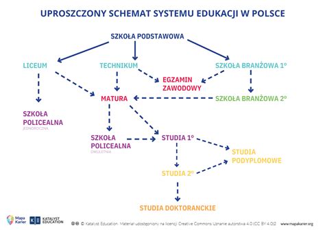 Schemat systemu kształcenia w PSP: od edukacji podstawowej po specjalistyczne kursy doskonalące