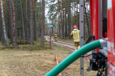 Zdjęcie przewodnika z psem ratowniczym podczas ćwiczeń w terenie leśnym